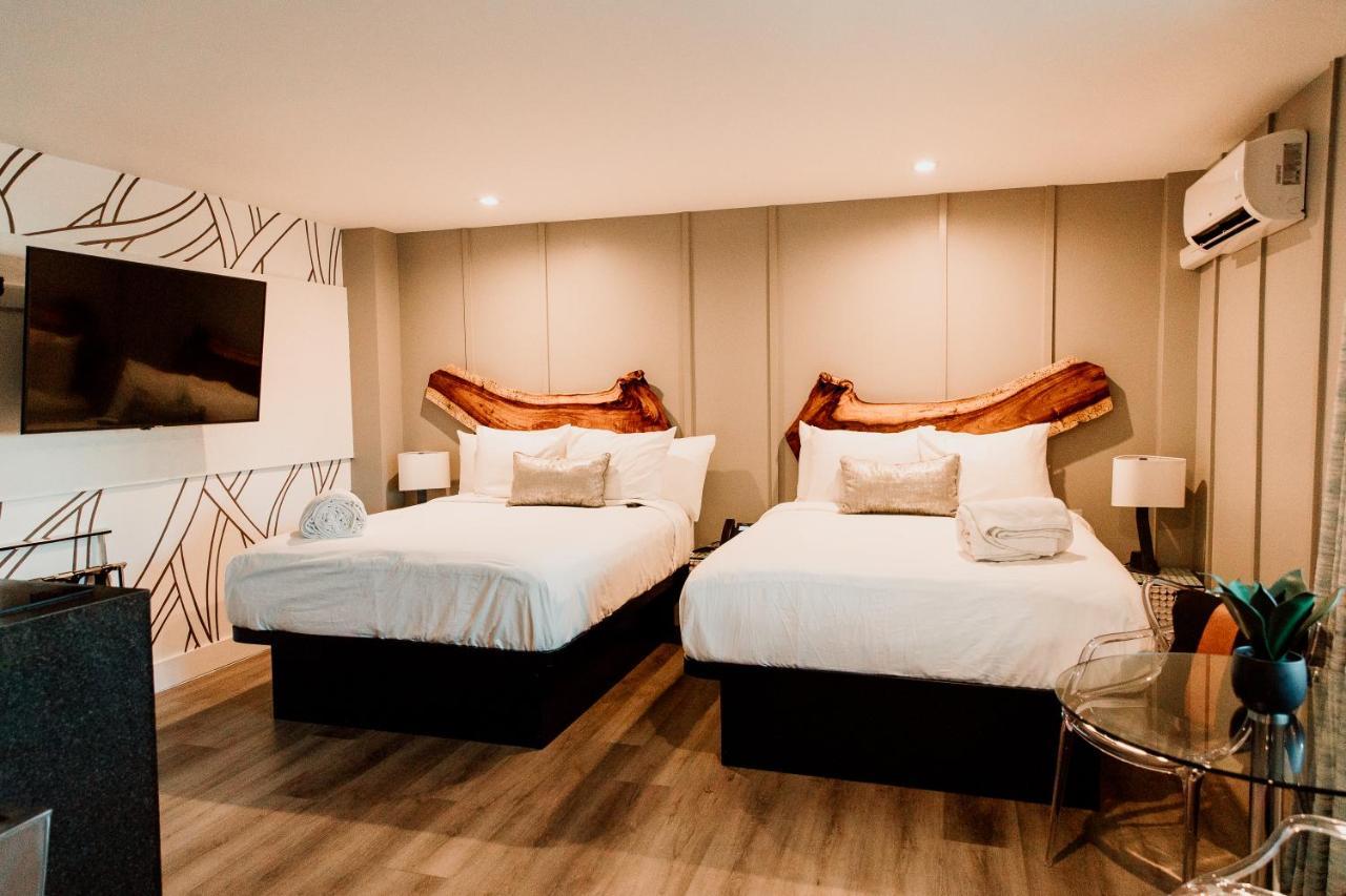 The Saint Hotel سانت بيتي بيتش المظهر الخارجي الصورة